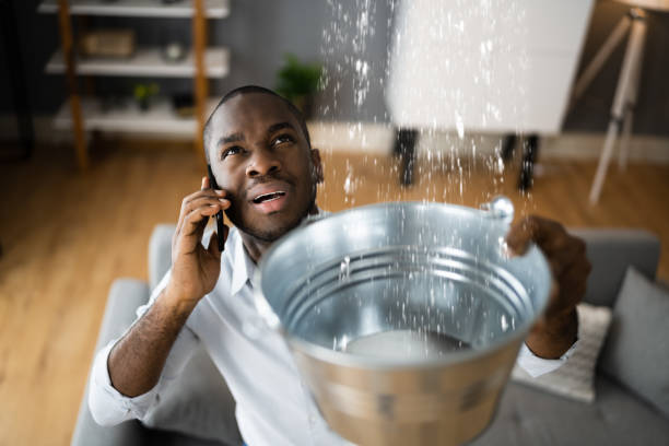 Best Ceiling water damage repair  in Clayton, IN