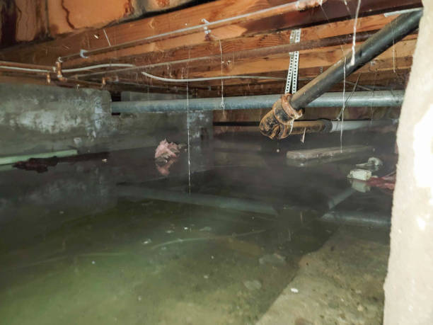 Carpet water damage restoration in Clayton, IN