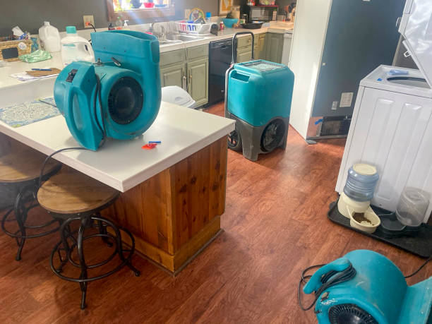 Best Water damage cleanup near me  in Clayton, IN