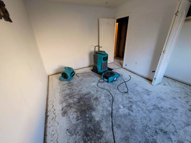 Best Water damage restoration near me  in Clayton, IN