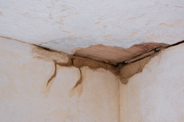  Clayton, IN Water damage restoration Pros