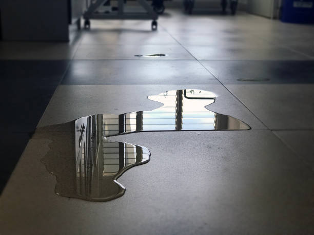 Best Local water damage restoration  in Clayton, IN