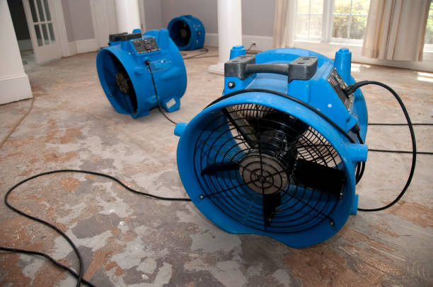Best 24/7 water damage repair  in Clayton, IN