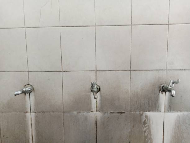 Best Carpet water damage restoration  in Clayton, IN