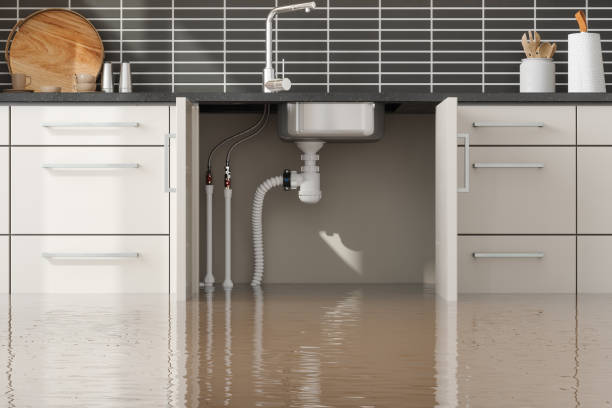 Best Water damage contractors near me  in Clayton, IN