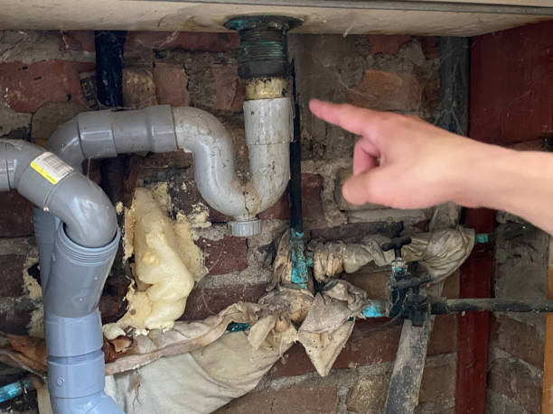Best Mold removal after water damage  in Clayton, IN