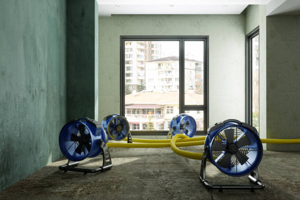 Best Sewage cleanup and water damage restoration  in Clayton, IN