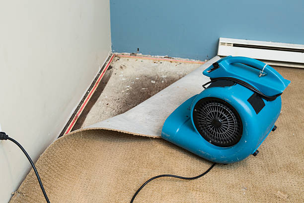 Reliable Clayton, IN Water damage restoration Solutions